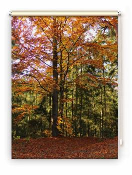 Rollo Wegesrand, Rollo, Motivrollo, Rollo mit Druck, Fotorollo, bedrucktes Rollo, Fensterrollo,verdunkelndes Rollo, Sonnenschutz Rollo
